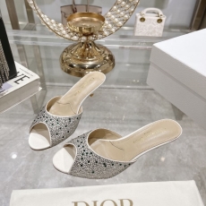 Christian Dior Slippers